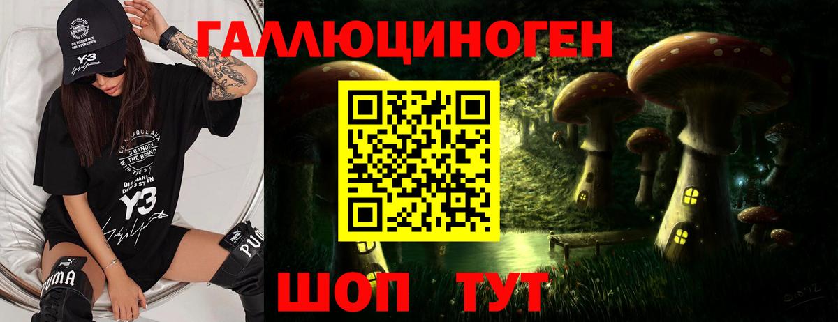 Галлюциногенные грибы мицелий  Вход с VPN  Волоколамск 